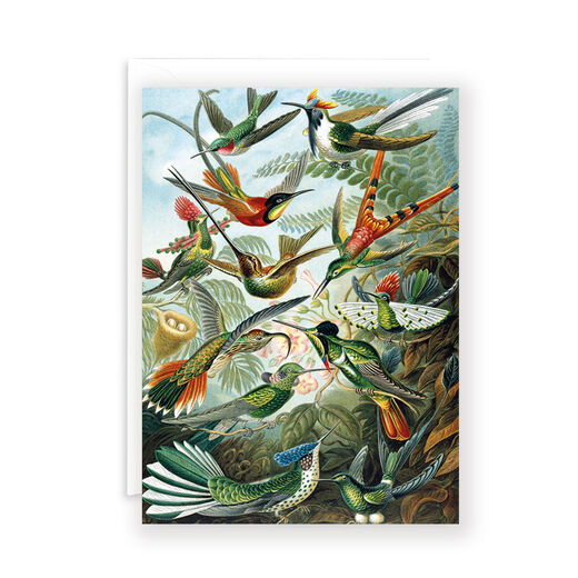 Trochilidae greeting card