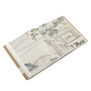 Masterpieces of Chinese Painting (hardback)