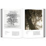 Into the Woods: Trees in Photography
