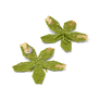 Green beaded flower earrings