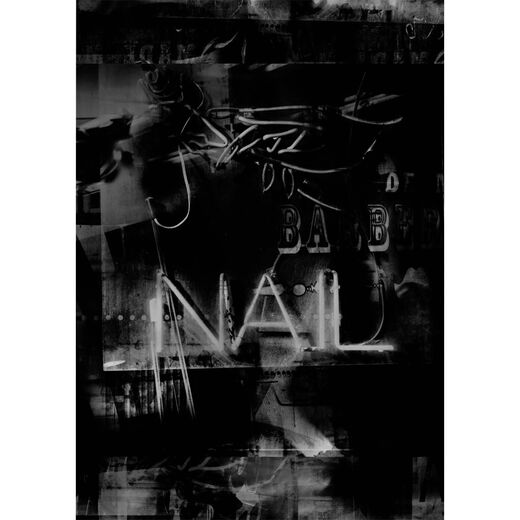 Val&eacute;rie Belin broadsheet publication