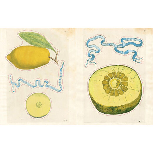 John Derian Sticker Book II