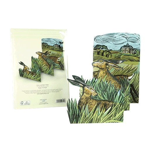 Hares and open field 3D greeting card