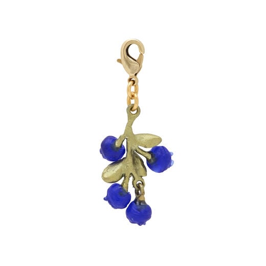 Blueberry charm by Michael Michaud
