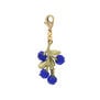 Blueberry charm by Michael Michaud