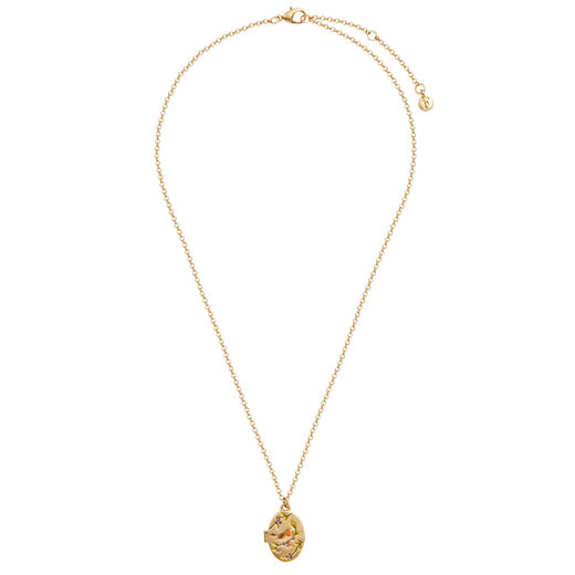 Robin and blackberry locket necklace by Fable England