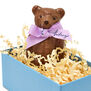 Milk chocolate bear
