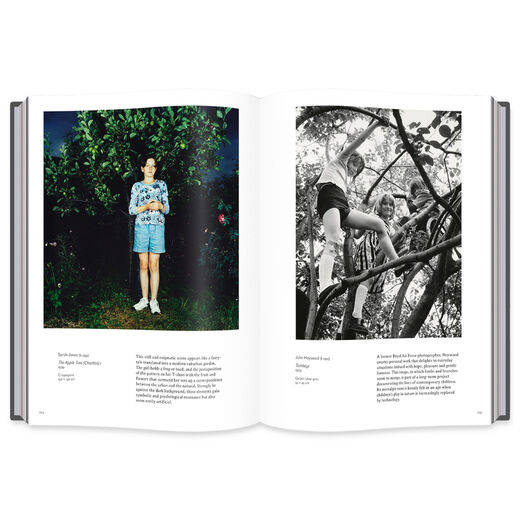 Into the Woods: Trees in Photography