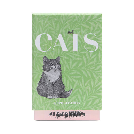 Cats box of 50 postcards