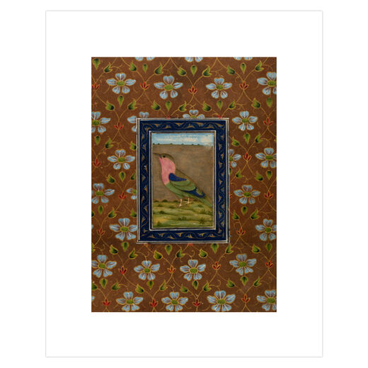 Thick brown borders with pale blue flowers surround a green and pink bird, possibly a pigeon or parakeet