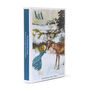 Pack of 16 Christmas cards featuring original fairy tale illustrations by Arthur Rackham from the V&A archive.