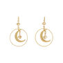Moon and star hook earrings