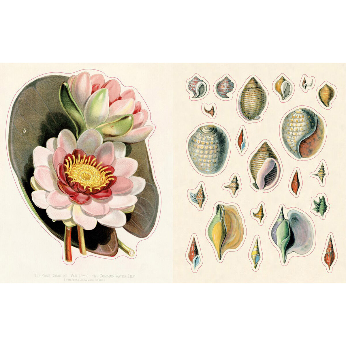 John Derian Sticker Book II | Books | V&A Shop