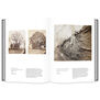 Into the Woods: Trees in Photography
