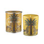 A scented candle in a decorative packaging featuring an illustration of a palm tree.