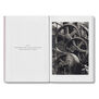 The Devouring Eye : Photography and the Mouth