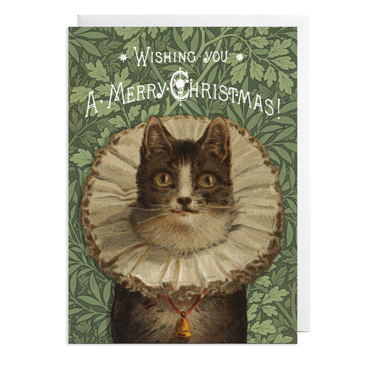 Victorian cat in a ruff Christmas cards (pack of 8)