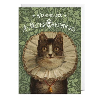 Victorian cat in a ruff Christmas cards (pack of 8)