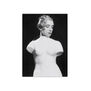 Schiaparelli: Fashion Becomes Art magnet set