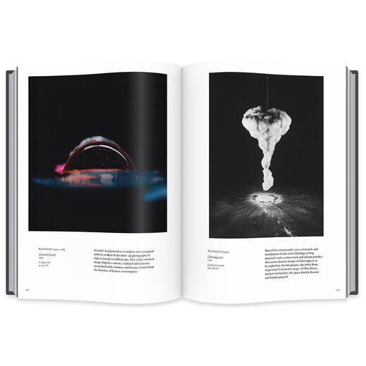 Making It Up: Photographic Fictions