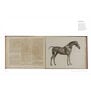 Word & Image - Art Books and Design from the National Art Library