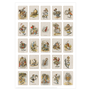 Alice in Wonderland print