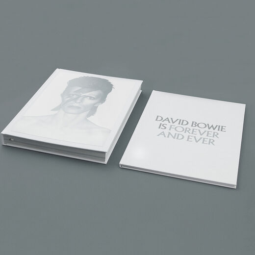 David Bowie Is exhibition book &ndash; New York edition​