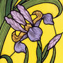 An illustration featuring a purple iris on a bright yellow background.