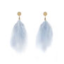 Blue feather earrings
