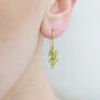 Peridot bunch hook earrings by Mounir