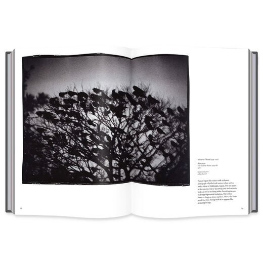 Into the Woods: Trees in Photography