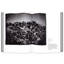 Into the Woods: Trees in Photography