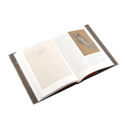 The Art of Drawing