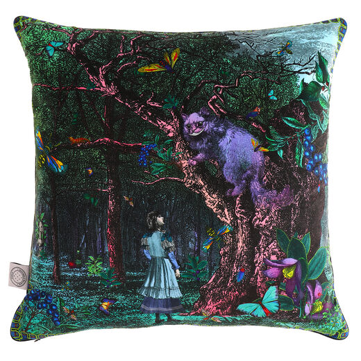 A Grin Without a Cat velvet cushion
