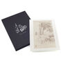V&A Winnie-the-Pooh portfolio II