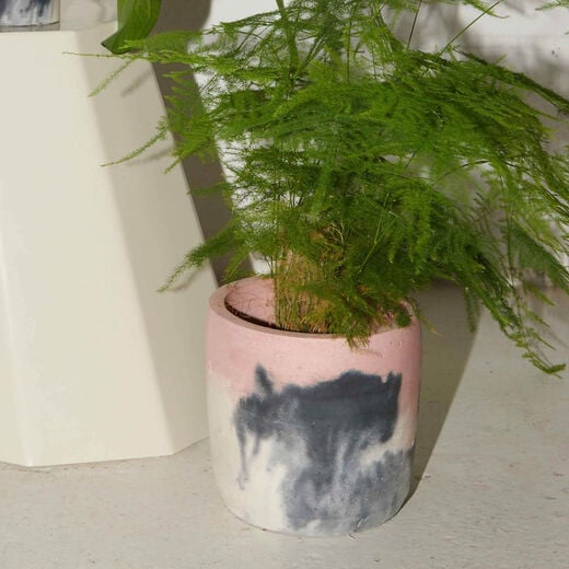 Blush & charcoal concrete plant pot