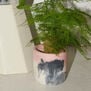Blush & charcoal concrete plant pot