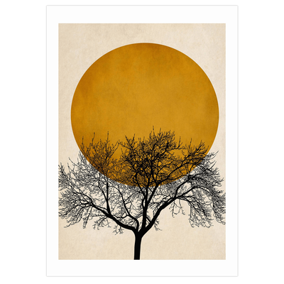 Winter Morning print