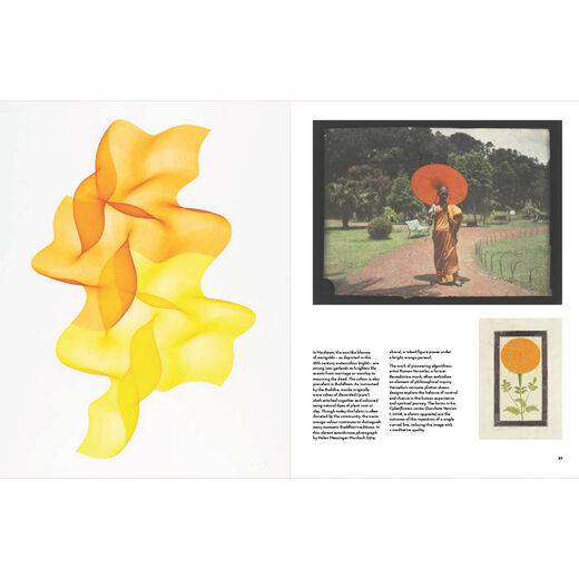 The V&A Book of Colour in Design