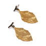 A pair of bronze earrings cast from birch leaves.