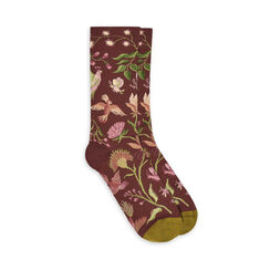 Bird socks