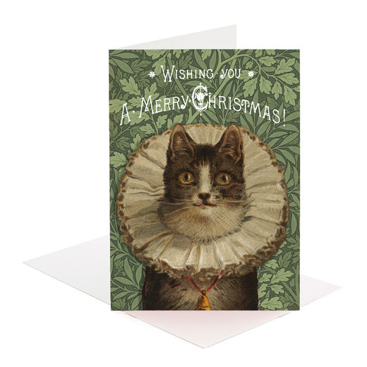 Victorian cat in a ruff Christmas cards (pack of 8)