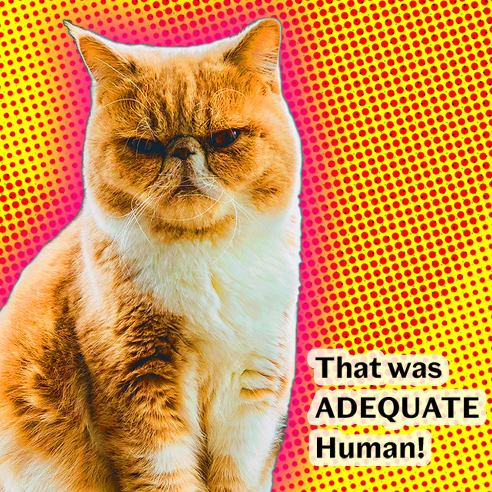 The picture has changed to bright colours, and the caption now reads 'That was Adequate, human'. Maybe you should have scritched him better?