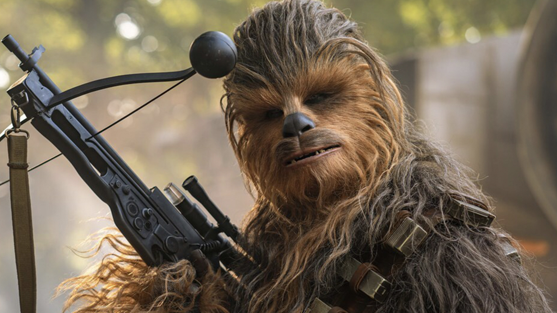Chewbacca from Star Wars holding his bowcaster