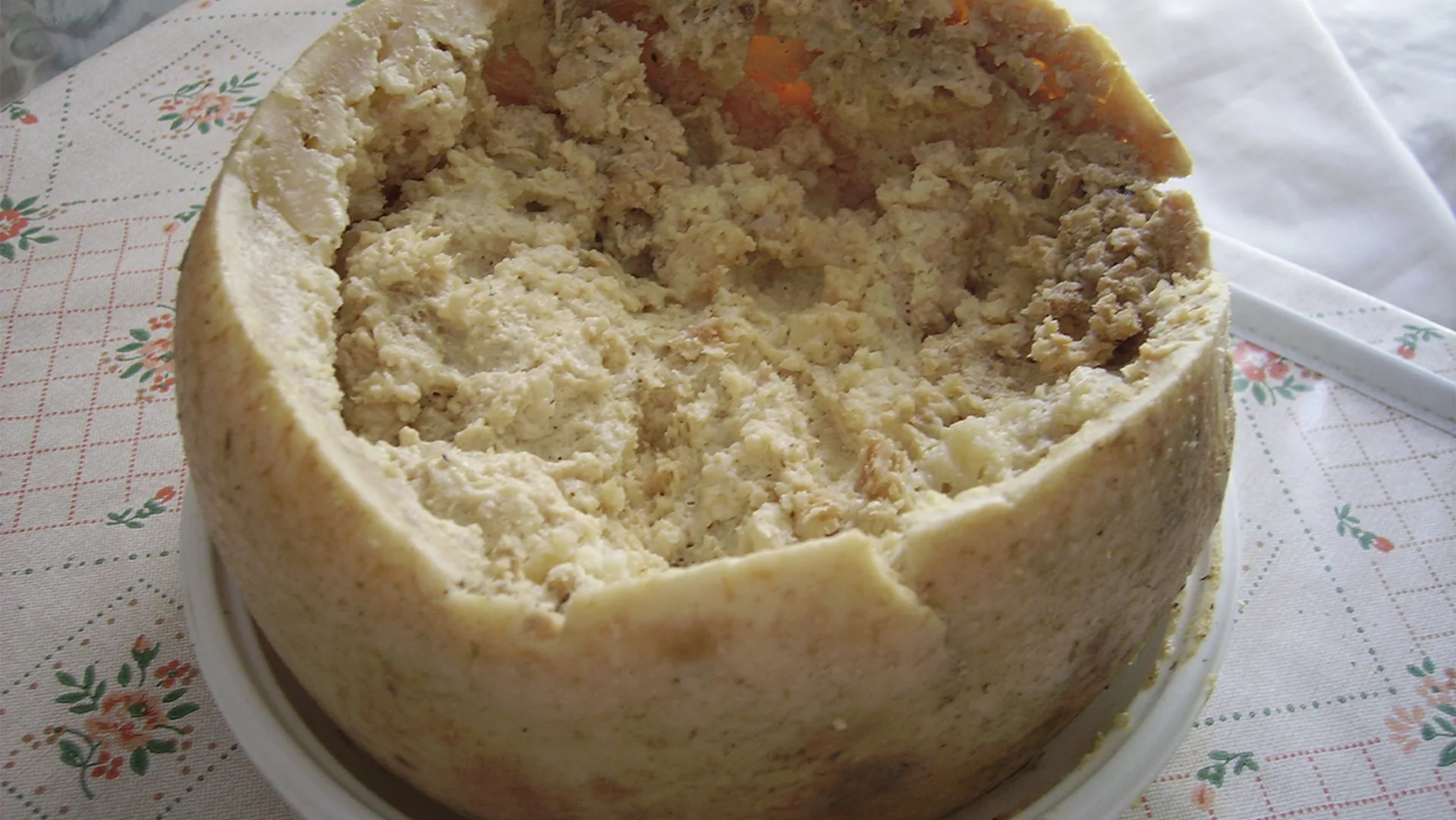Casu Marzu cheese