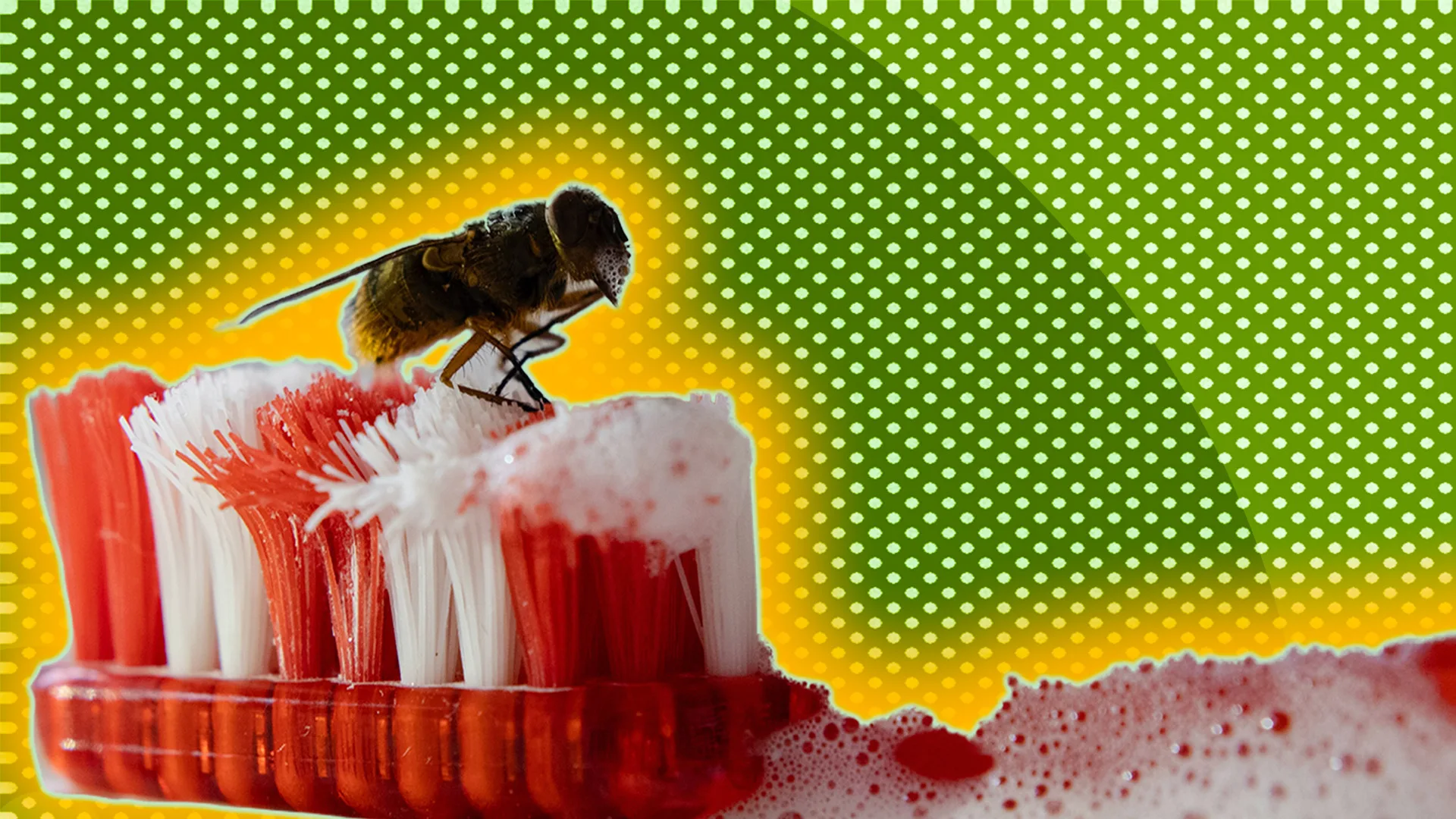 Bee on toothbrush with a polkadot background and a glow around the image
