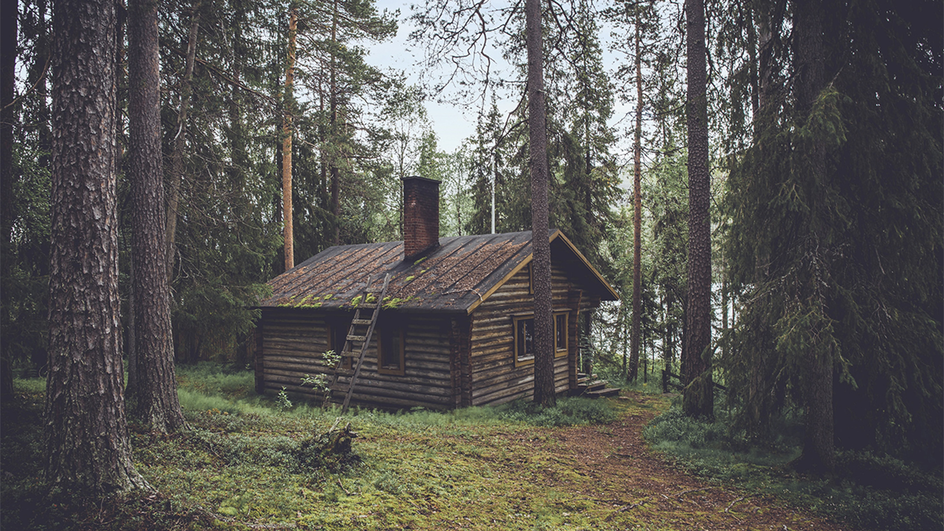 Cottage in the woods