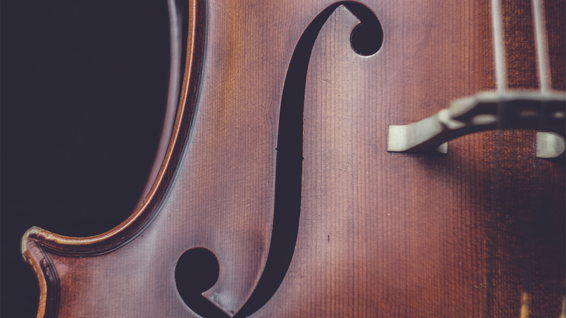 Close up of a cello
