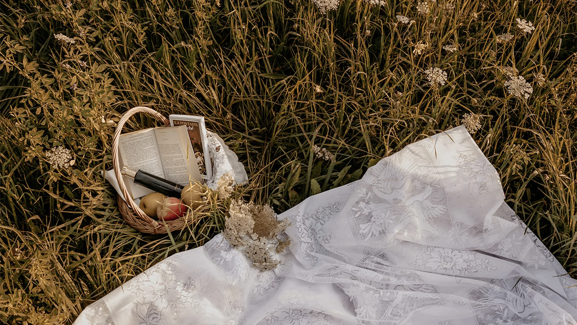 Picnic basket filled with books and apples in a field with a blanket on the ground