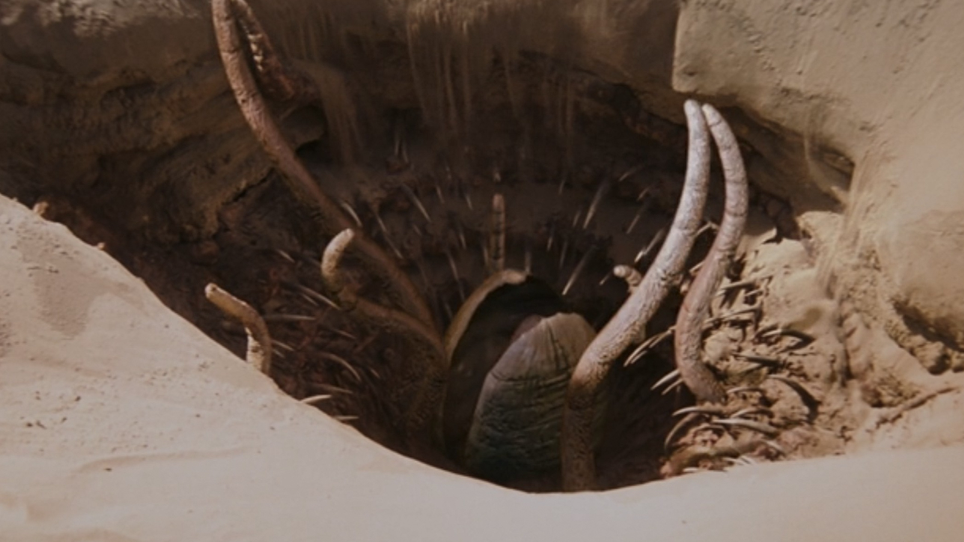 The sarlacc pit